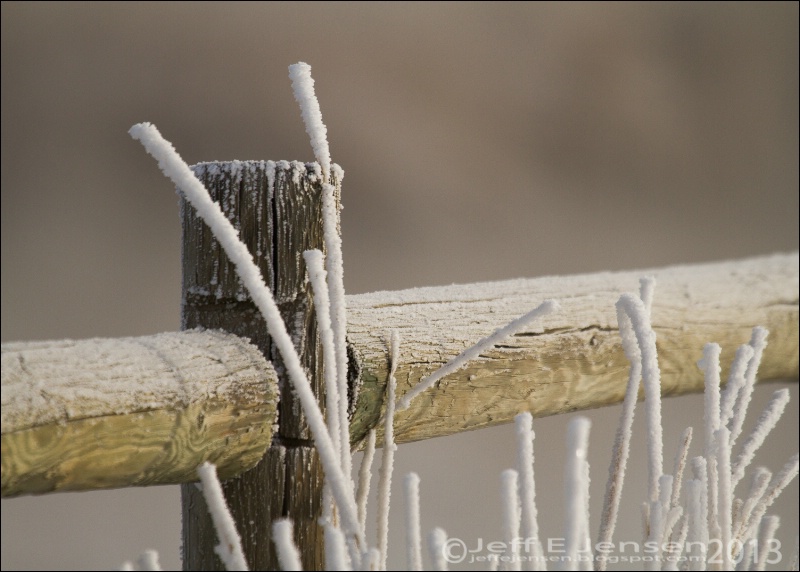 Frosty Fence