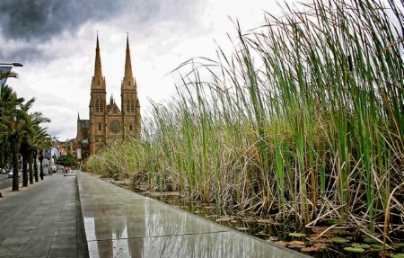 St Marys Cathedral Sydney 2004