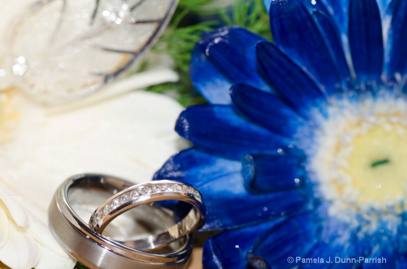 Wedding Rings in Blue and White