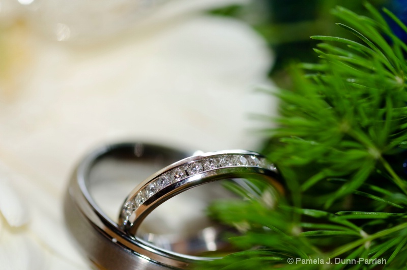 Winter Wedding Rings