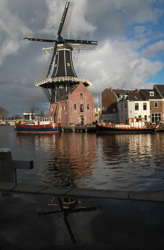 A windmill from Haarlem