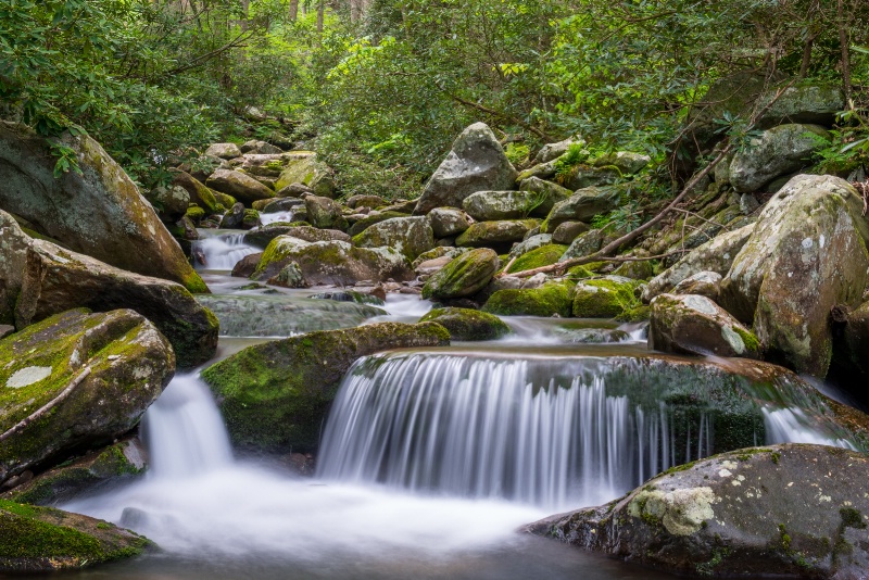 LeConte Creek - Smoky Mountains - ID: 13690524 © Bill Currier
