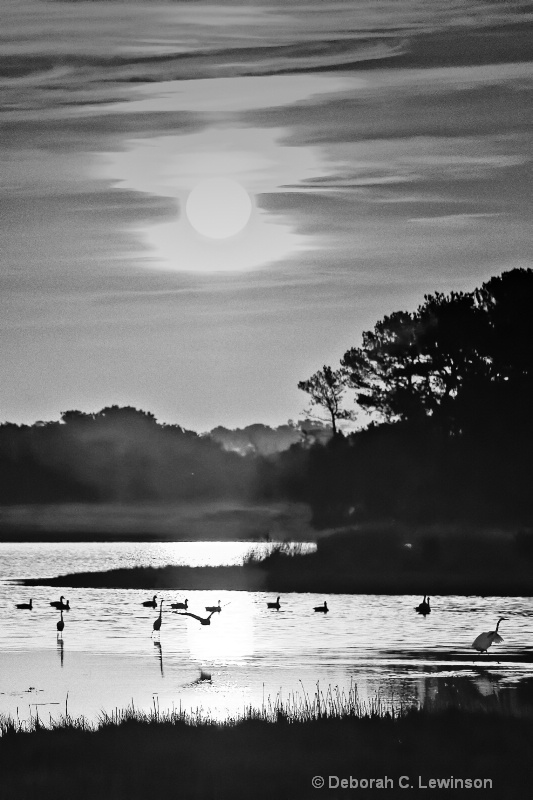 Chincoteague Sunrise - ID: 13691753 © Deborah C. Lewinson