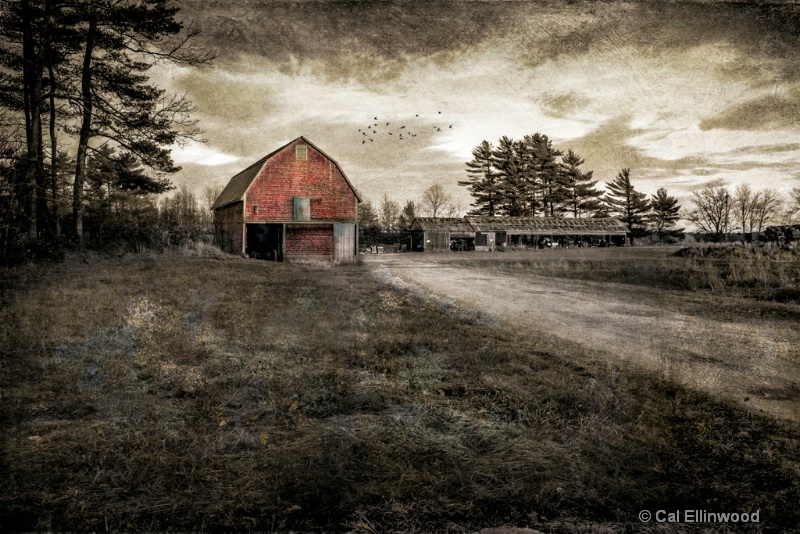 The Cranberry Barn