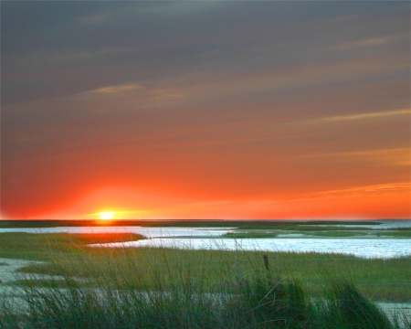 Galveston Bay Wetlands