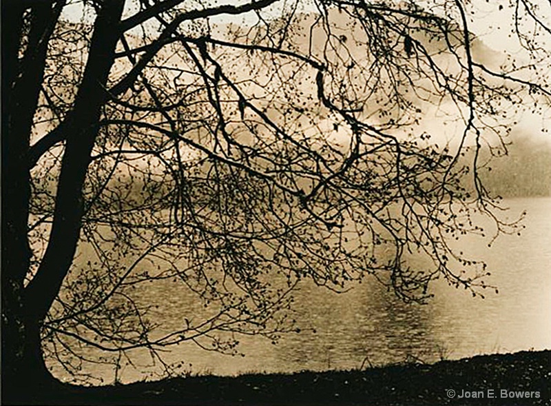 Rain on Lake Crescent - ID: 13692832 © Joan E. Bowers