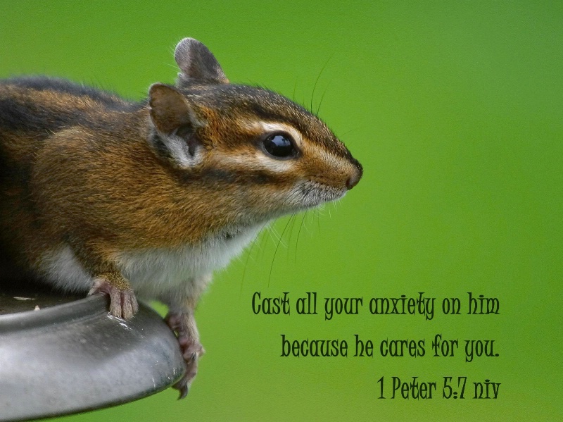 1 Peter 5:7 niv