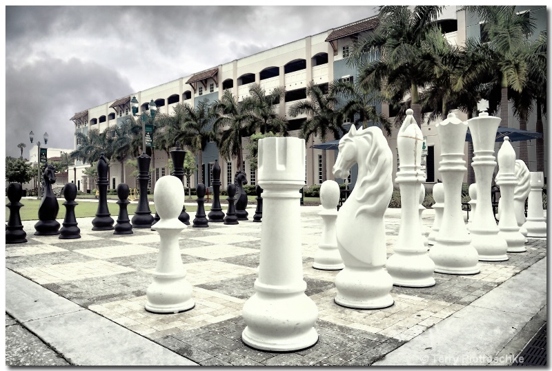 The Big Chess Game - ID: 13694019 © Terry Piotraschke