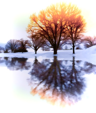 Winter's Reflections