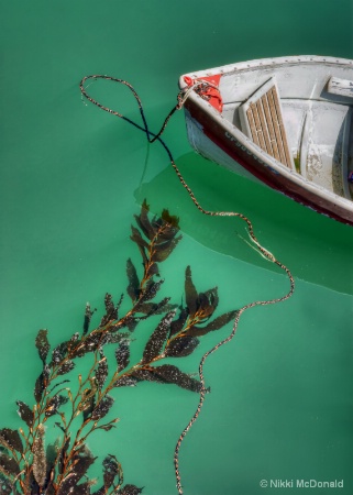 Moored Boat and Kelp
