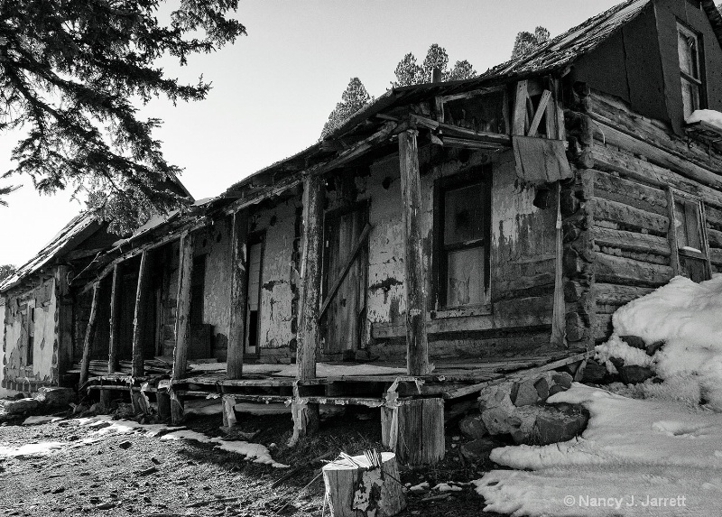 Abandoned Taos Cabin