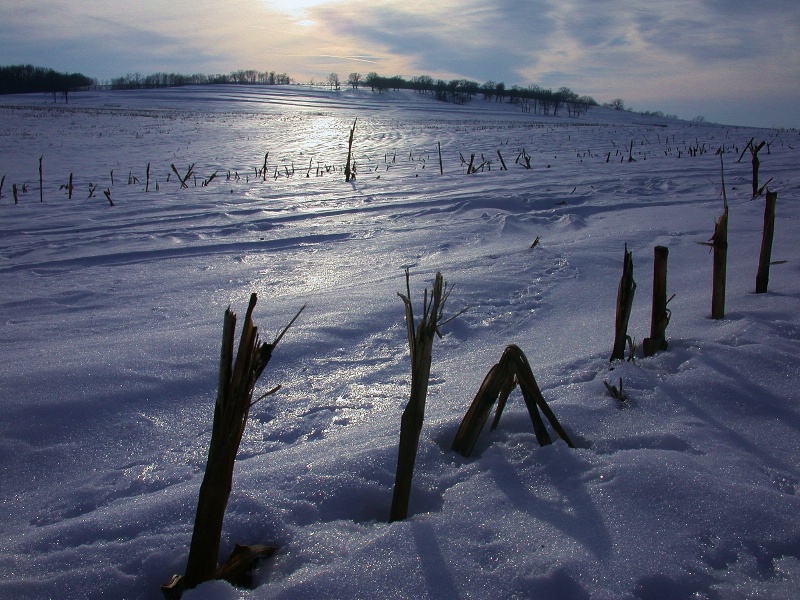 Wisconsin farmland winter