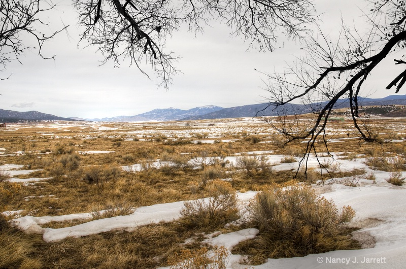 Taos Valley View