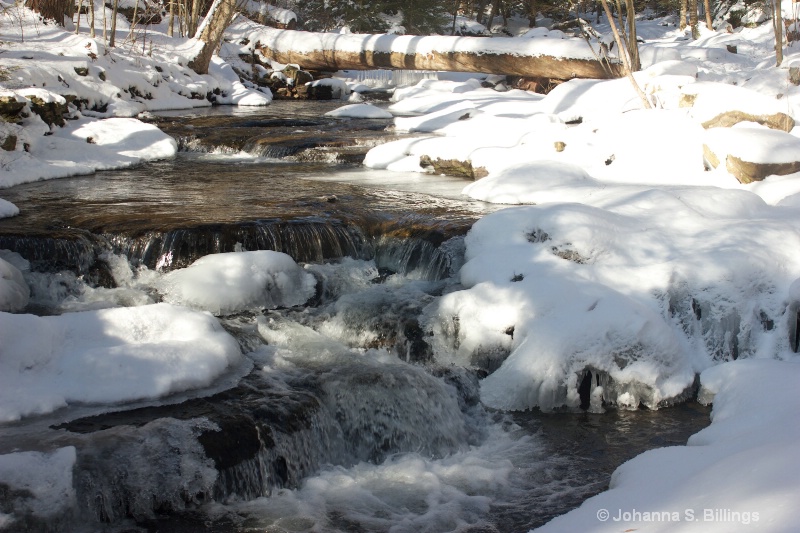 Winter Stream - ID: 13698025 © Johanna S. Billings
