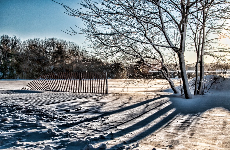 Long Shadows