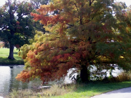 Painted Autumn