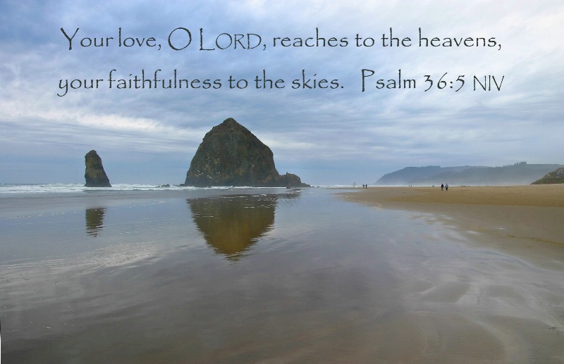 Psalm 36:5 niv