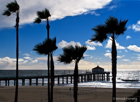Five Palms and a Pier