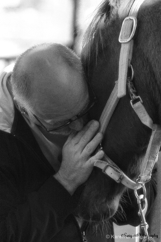 The Love of a Horse