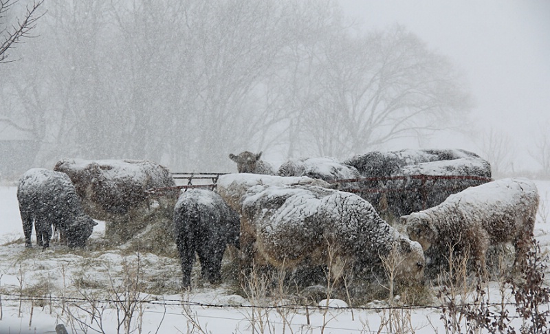 Is spring coming yet?