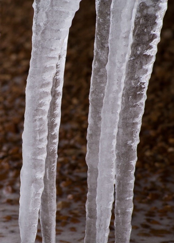 Ground Level Icicles