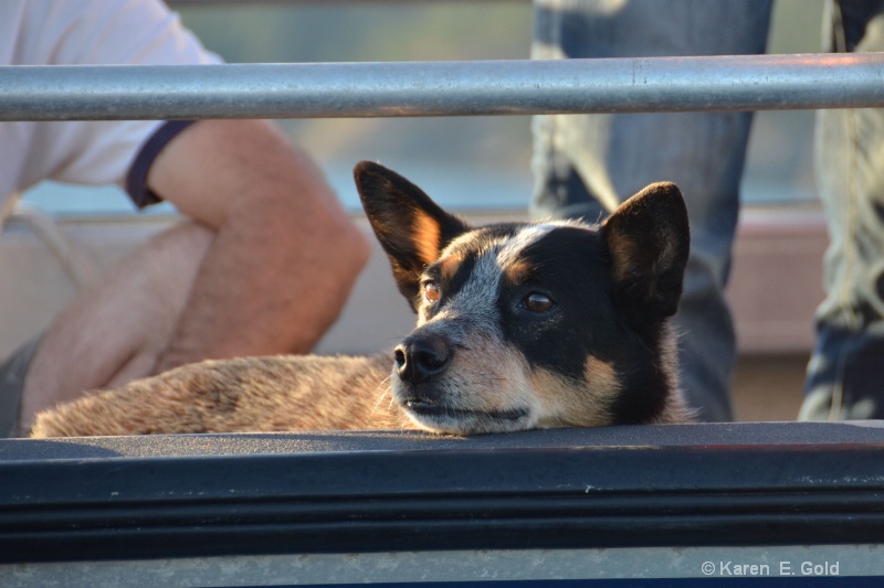 Enjoying the boat ride!!