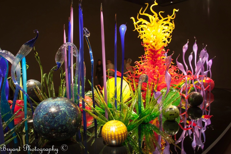 Stunning display at the Chihuly Gallery