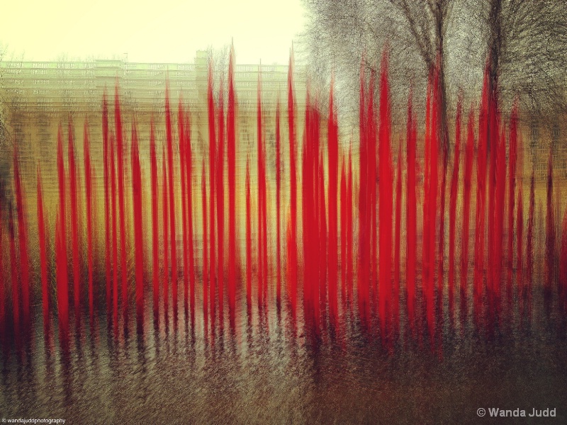 Red Reeds - ID: 13703106 © Wanda Judd