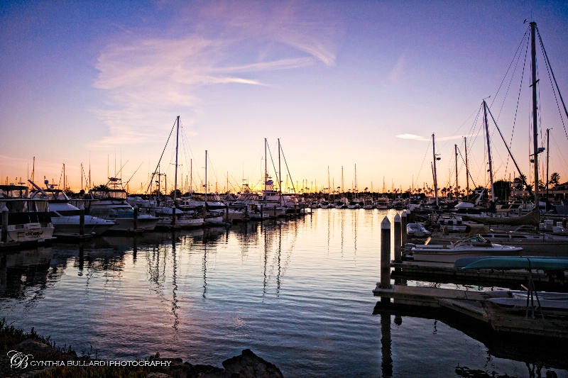Sunset in the Harbor