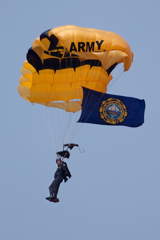 U.S. Army Golden Knight with Flag of New Hampshire