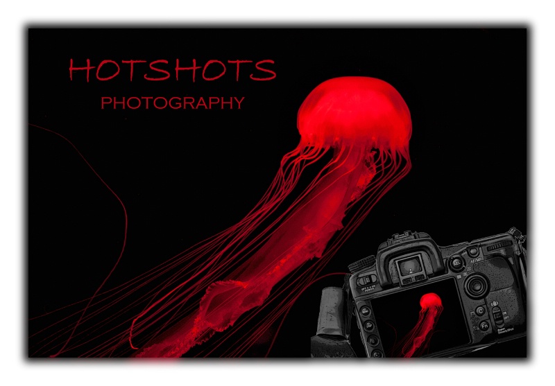 Welcome to HotshotsbyCathy.com