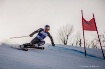 Ski Racer