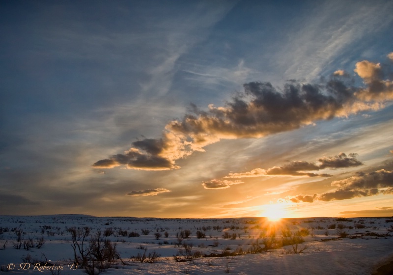 Winter in the Owyhee Uplands