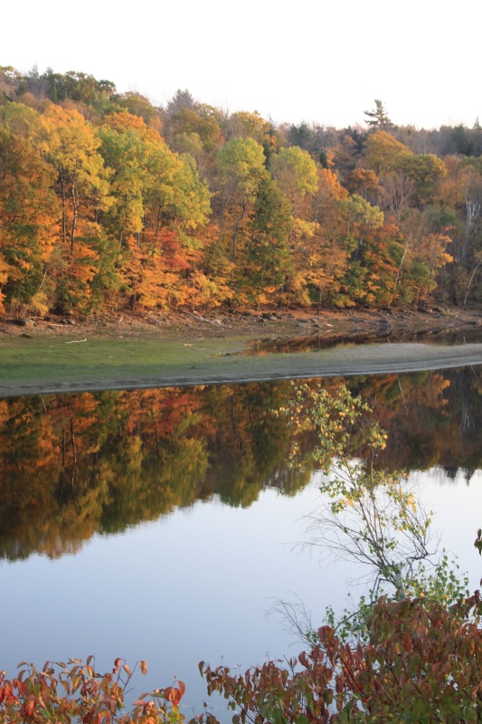 Lake in October