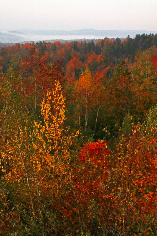 Vermont Autumn Foliage