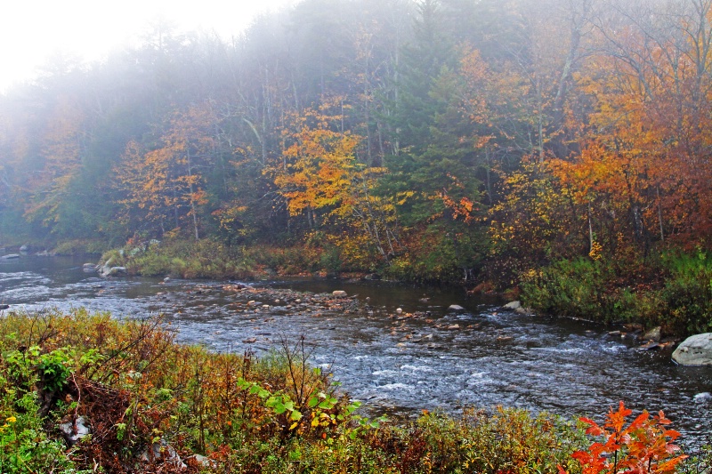 October on the Trout Stream