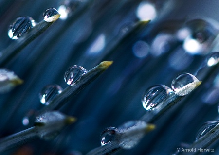 Droplets