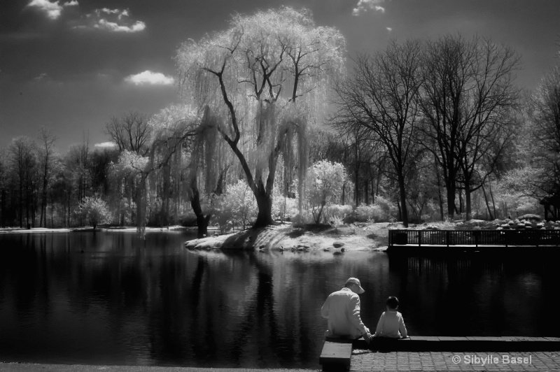 Sunny day in Infrared