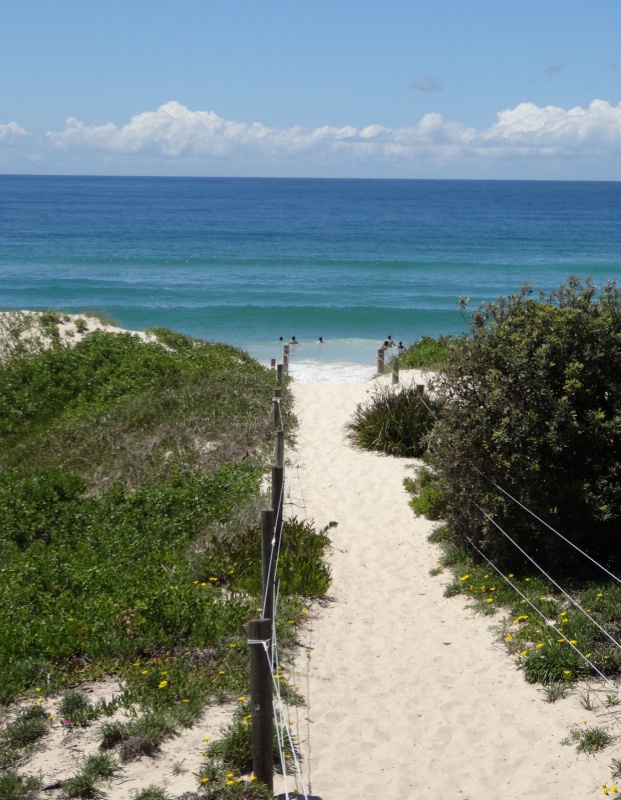 Hawks Nest Surf Lessons