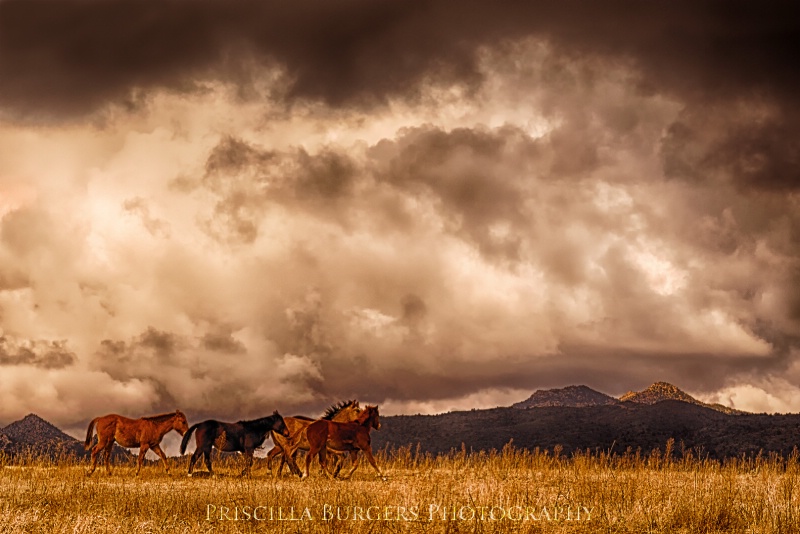 Racing the Storm