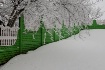 The Green Fence