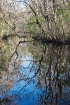 Reflections