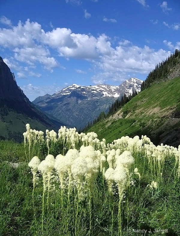 Glacier National Park (edited)