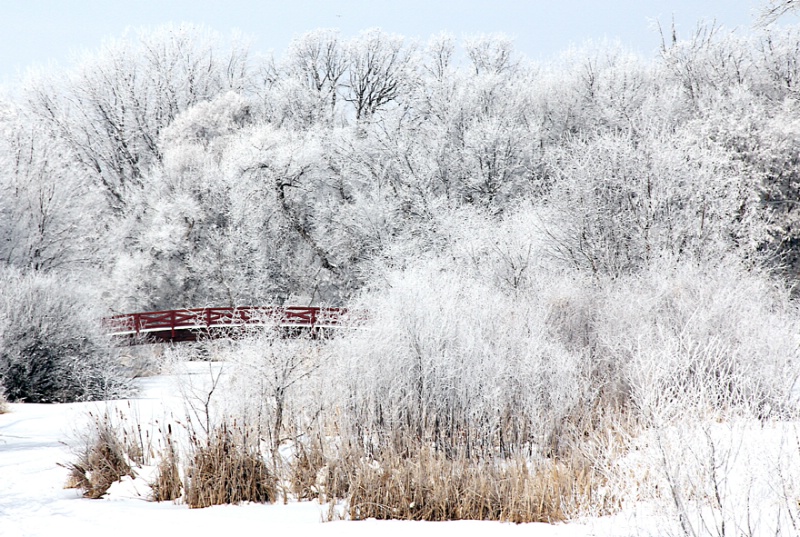 Winter White