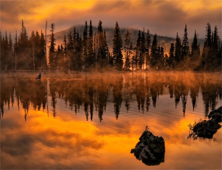 Lake Reflections