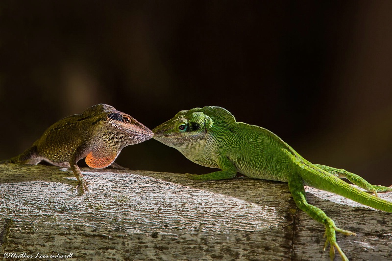 First Kiss