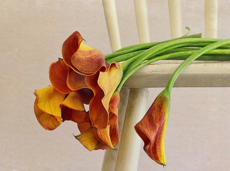 Flowers On A Chair