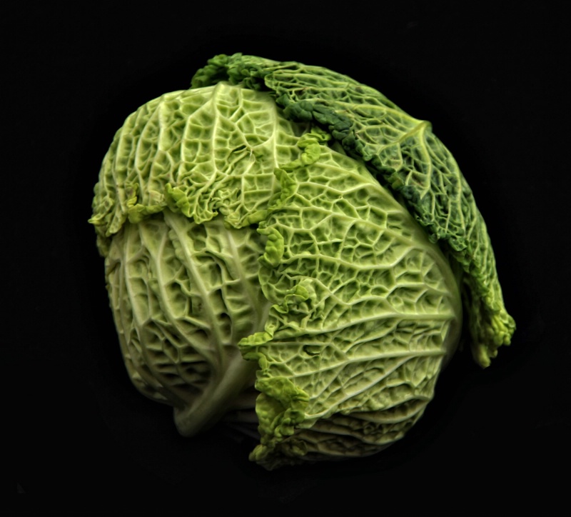 Savoy Cabbage