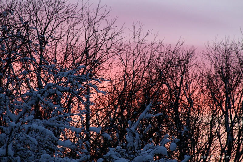 winter sunset ii  - ID: 13728758 © Jody A. Hatley