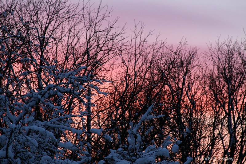 winter sunset ii - ID: 13728758 © Jody A. Hatley